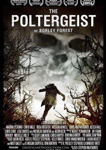 The Poltergeist of Borley Forest / You Will Love Me (2013)