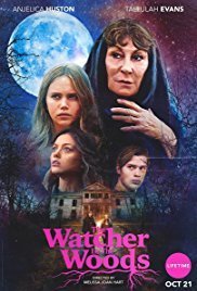 Watcher in the Woods (2017)