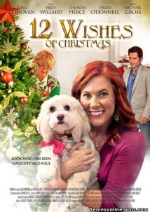 12 Wishes Of Christmas (2011)