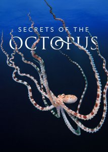 Μυστικά των Χταποδιών / Secrets of the Octopus (2024)