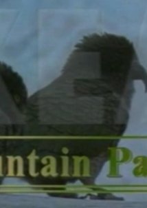Kea Mountain Parrot - Κία ο παπαγάλος των Βουνών