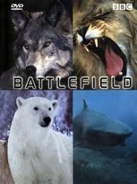 Wild Battlefields (2004)