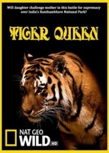 Tiger Queen/βασίλισσα τίγρη