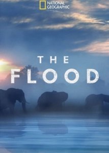 The Flood (2018)