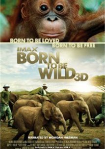 Born to Be Wild 3D
