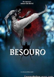 The Assailant / Besouro (2009)