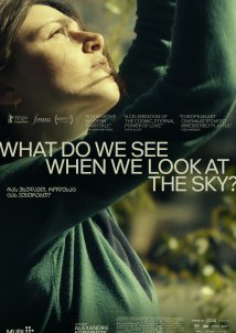 What Do We See When We Look at the Sky? / Ras vkhedavt, rodesac cas vukurebt? (2021)