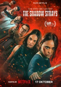 The Shadow Strays (2024)