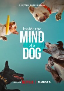 Inside the Mind of a Dog / Στο Μυαλό ενός Σκύλου (2024)