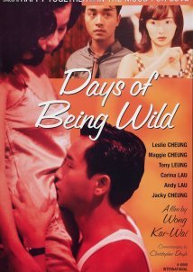 Days of Being Wild (1990)