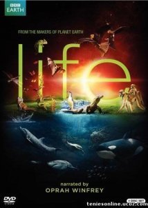 Life/Ζωή (2010)