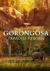 Gorongosa: Paradise Reborn (2022)