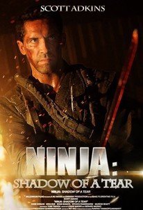 Νίντζα II: Η εκδίκηση του πολεμιστή / Ninja: Shadow of a Tear (2013)