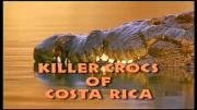 002_Killer crocs of Costa Rica - Οι δολοφόνοι κροκόδειλοι της Κόστα Ρίκα (Μεταγλωτισμένο)