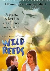 Les roseaux sauvages (Wild Reeds) (1994)