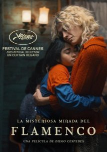 The Mysterious Gaze of the Flamingo / La misteriosa mirada del flamenco (2025)