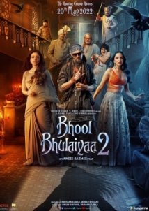 Bhool Bhulaiyaa 2 (2022)