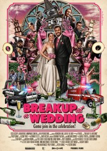 Breakup At A Wedding (2013)
