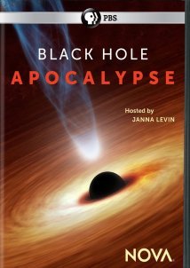 Black Hole Apocalypse (2018)