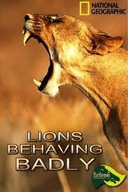 National Geographic: Λιοντάρια που παραφέρονται (lions behaving badly)