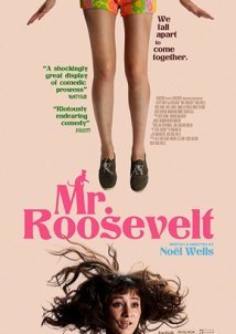 Mr. Roosevelt (2017)