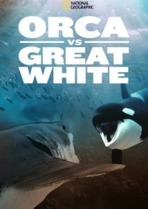 Shark vs. Whale (2020)