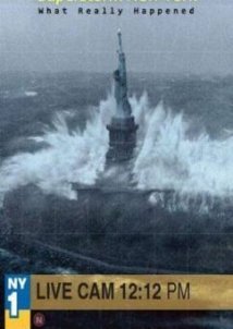Superstorm New York: What Really Happened (2012)