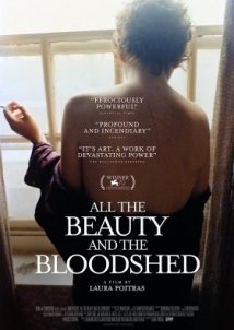 Όλη η ομορφιά και η αιματοχυσία / All the Beauty and the Bloodshed (2022)
