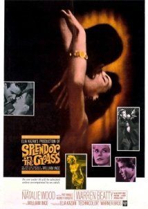 Πυρετός στο Αίμα / Splendor in the Grass (1961)