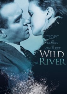 Wild River / Λάσπη στ’ αστέρια (1960)