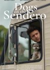 Dogs on the Sendero (2024)